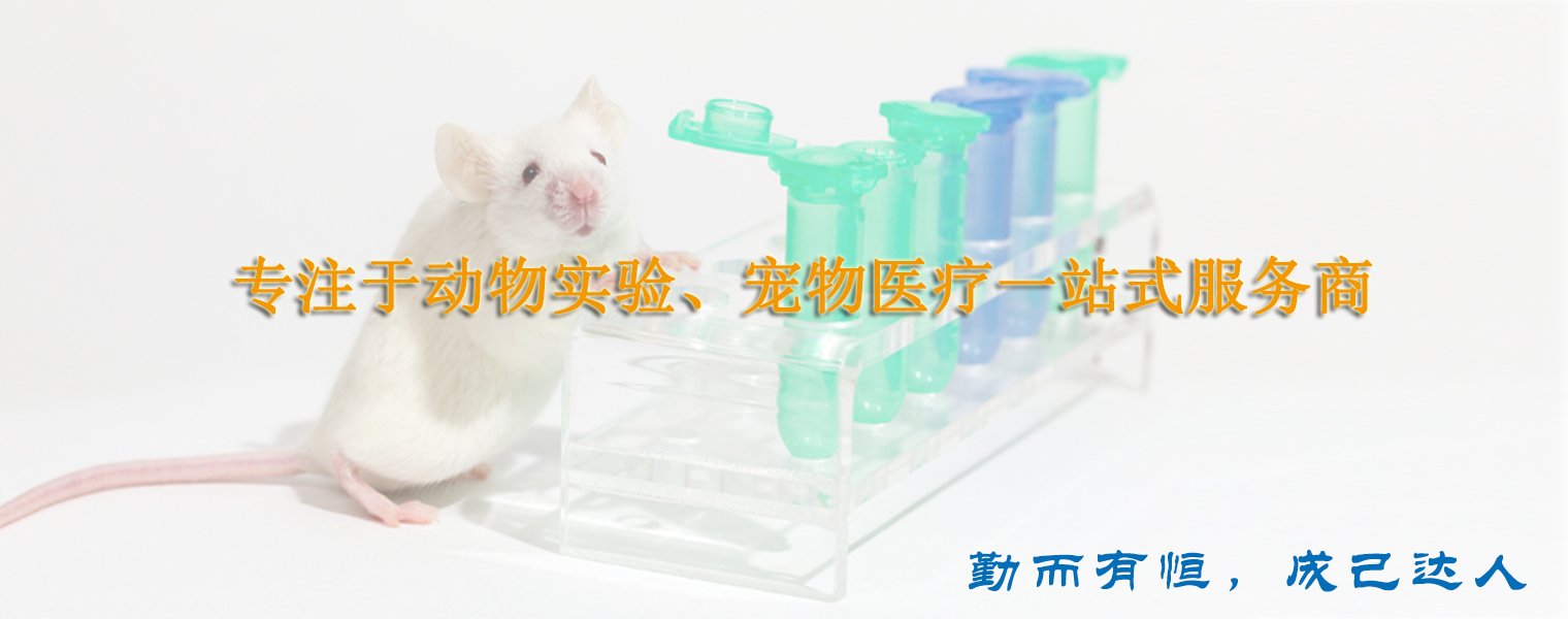 廣告一